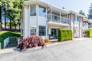 Photo 1: 7 2921 HORN Street in Abbotsford: Central Abbotsford Townhouse for sale in "Birchwood Terrace" : MLS®# R2183526