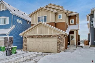 Photo 1: 245 Sage Meadows Park NW in Calgary: Sage Hill Detached for sale : MLS®# A2026452