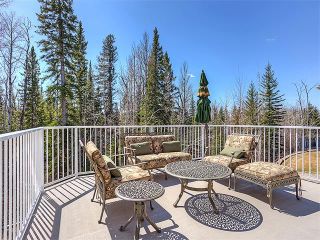 Photo 42: 72 DISCOVERY RIDGE Circle SW in Calgary: Discovery Ridge House for sale : MLS®# C4003350