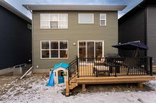 Photo 41: 269 Ambleside Avenue NW in Calgary: C-527 Detached for sale : MLS®# A2122797