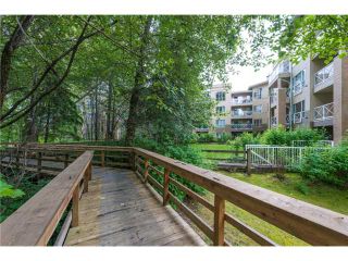 Photo 14: # 205 2551 PARKVIEW LN in Port Coquitlam: Central Pt Coquitlam Condo for sale : MLS®# V1040597