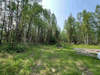 Photo 5: 1531 WEST FRASER ROAD in Quesnel: Vacant Land for sale : MLS®# R2778451