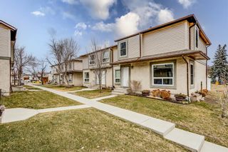 Photo 14: 153 Deer Ridge Lane SE Calgary Home For Sale