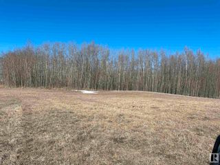 Photo 6: SH 616 RR 10: Rural Wetaskiwin County Rural Land/Vacant Lot for sale : MLS®# E4285997