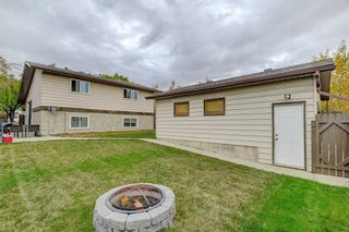 Photo 35: 311 Templeview Drive NE in Calgary: Temple Detached for sale : MLS®# A2080591