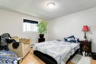 Photo 17: 6 6304 Bowwood Drive NW in Calgary: Bowness Row/Townhouse for sale : MLS®# A1234015