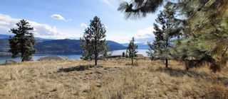 Photo 21: 8948 Davidson Place, in Vernon: Vacant Land for sale : MLS®# 10270478