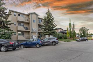 Photo 29: 101 1721 43 Street SE in Calgary: Forest Lawn Apartment for sale : MLS®# A2054407