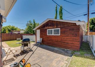 Photo 42: 3435 19 Street NW in Calgary: Charleswood Detached for sale : MLS®# A1241345