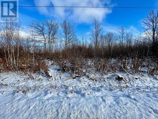 Photo 12: 168 Collins Lake RD in Shemogue: Vacant Land for sale : MLS®# M156264
