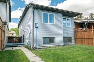 Photo 19: 124 Bedford Place NE in Calgary: Beddington Heights Detached for sale : MLS®# A2051653
