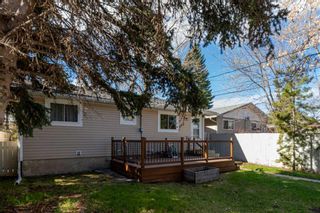 Photo 31: 69 Dovercliffe Close SE in Calgary: Dover Detached for sale : MLS®# A2129385