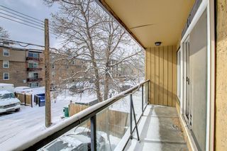 Photo 19: 4 1809 11 Avenue SW in Calgary: Sunalta Apartment for sale : MLS®# A1183606