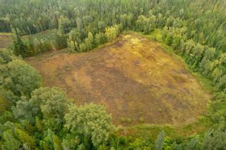 Photo 16: 3107 Trinity Valley Road, in Enderby: Vacant Land for sale : MLS®# 10264864