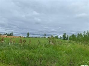 Photo 8: Lot 1 Rural Address in Turtle Lake: Lot/Land for sale : MLS®# SK926670