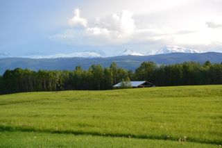 Photo 1: DL 1220 WOODMERE Road: Telkwa Land for sale in "WOODMERE" (Smithers And Area (Zone 54))  : MLS®# R2397320