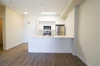 Photo 6: PH11 50 Philip Lee Drive in Winnipeg: Crocus Meadows Condominium for sale (3K)  : MLS®# 202201319