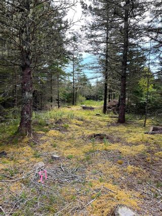 Photo 9: Lot West Sable Road in Little Harbour: 407-Shelburne County Vacant Land for sale (South Shore)  : MLS®# 202221531