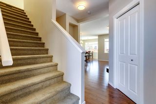 Photo 15: 299 Nolan Hill Drive NW in Calgary: Nolan Hill Detached for sale : MLS®# A2031694