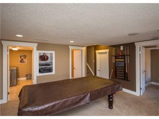 Photo 39: 34 CHAPALA Court SE in Calgary: Chaparral House for sale : MLS®# C4108128