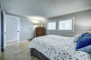Photo 18: 919 MIDRIDGE Drive SE in Calgary: Midnapore Detached for sale : MLS®# A1016127