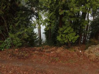 Photo 6: 1502 TIDEVIEW Road in Gibsons: Gibsons & Area Land for sale (Sunshine Coast)  : MLS®# R2639628