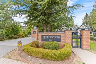 Photo 26: 157 20875 80 Avenue in Langley: Willoughby Heights Townhouse for sale in "PEPPERWOOD" : MLS®# R2637456