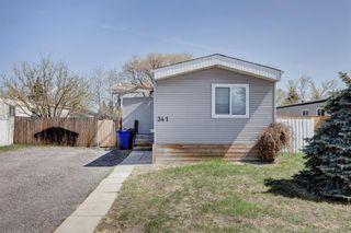 Photo 2: 341 Big Springs Drive SE: Airdrie Detached for sale : MLS®# A2050217