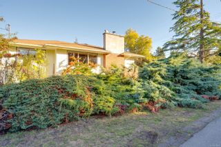 Photo 41: 1238 Union Rd in Saanich: SE Maplewood House for sale (Saanich East)  : MLS®# 918395
