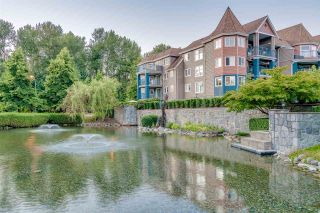 Photo 4: 215 1200 EASTWOOD Street in Coquitlam: North Coquitlam Condo for sale in "LAKESIDE TARRACE" : MLS®# R2186277