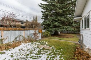 Photo 41: 1304 Kerwood Crescent SW in Calgary: Kelvin Grove Detached for sale : MLS®# A1042221