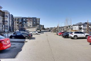 Photo 26: 215 7210 80 Avenue NE in Calgary: Saddle Ridge Apartment for sale : MLS®# A1091258