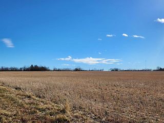Photo 7: 6002 57 Avenue: Olds Residential Land for sale : MLS®# A2088833