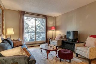 Photo 10: 302 835 18 Avenue SW in Calgary: Lower Mount Royal Apartment for sale : MLS®# A2082055