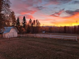 Photo 31: 38 SASKATCHEWAN Drive in Mackenzie: Mackenzie - Rural House for sale in "GANTAHAZ" : MLS®# R2762451