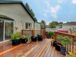 Photo 18: 3060 Albina St in Saanich: SW Gorge House for sale (Saanich West)  : MLS®# 860650