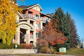 Photo 18: 411 5115 Richard Road SW in Calgary: Lincoln Park Apartment for sale : MLS®# A1215711