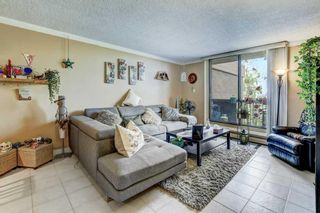 Photo 4: 631 30 McHugh Court NE in Calgary: Mayland Heights Apartment for sale : MLS®# A2074343