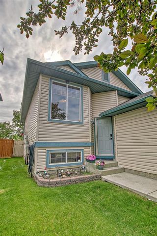 Photo 2: 6 Big Springs Rise SE: Airdrie Detached for sale : MLS®# A2055447
