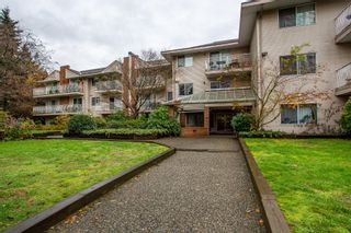 Photo 2: 302 1187 PIPELINE Road in Coquitlam: New Horizons Condo for sale in "PINE COURT" : MLS®# R2633972