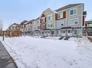 Photo 40: 236 130 New Brighton Way SE in Calgary: New Brighton Row/Townhouse for sale : MLS®# A1172067