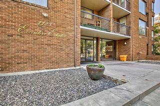 Photo 2: 505 1123 13 Avenue SW in Calgary: Beltline Apartment for sale : MLS®# A2071809