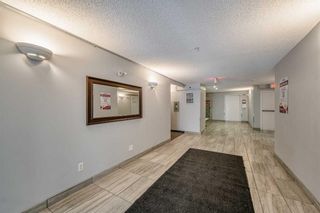 Photo 30: 5308 70 Panamount Drive NW in Calgary: Panorama Hills Apartment for sale : MLS®# A2130376