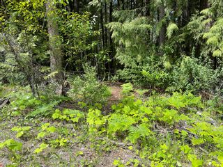 Photo 11: Lot 1 Justin Road in Eagle Bay: Vacant Land for sale : MLS®# 10255569