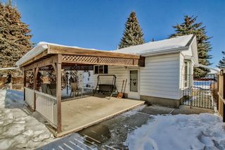 Photo 22: 9527 Assiniboine Road SE in Calgary: Acadia Detached for sale : MLS®# A2032725