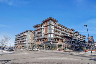 Photo 23: 215 122 Mahogany Centre SE in Calgary: Mahogany Apartment for sale : MLS®# A2019878
