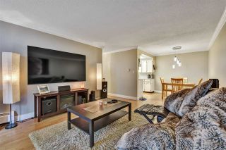 Photo 14: 104 11957 223 Street in Maple Ridge: West Central Condo for sale in "Alouette Apartments" : MLS®# R2586639