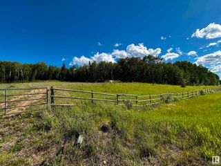 Photo 11: PT NW-1-62-24-W4: Rural Athabasca County Vacant Lot/Land for sale : MLS®# E4393309