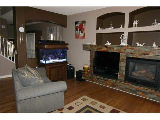 Photo 3: 24262 100B Avenue in Maple Ridge: Albion House for sale : MLS®# R2032464