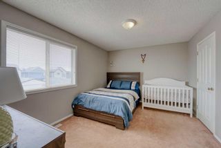 Photo 19: 19 Taravista Crescent NE in Calgary: Taradale Detached for sale : MLS®# A2123960
